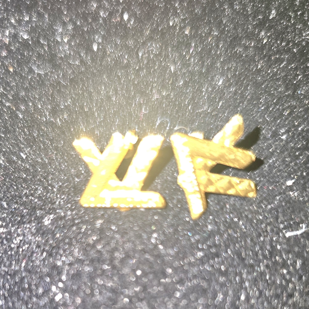LV Gold Earrings - Picture 7 of 13